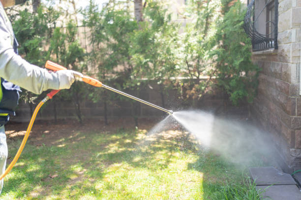 Best Pest Prevention Services  in Odon, IN